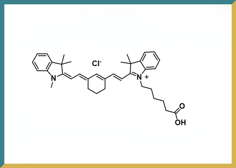 新研博美Cyanine7 carboxylic acid (Cyclohexene) .jpg