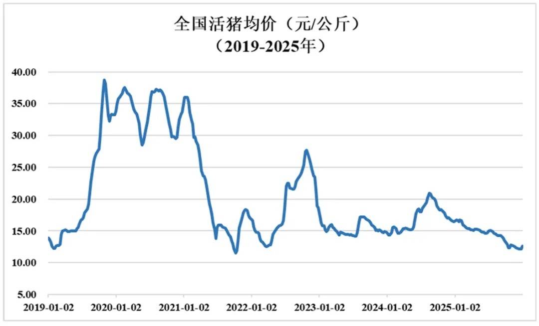 一头猪亏五百：散户被清场，养猪大户的春天会来吗？-锋巢网