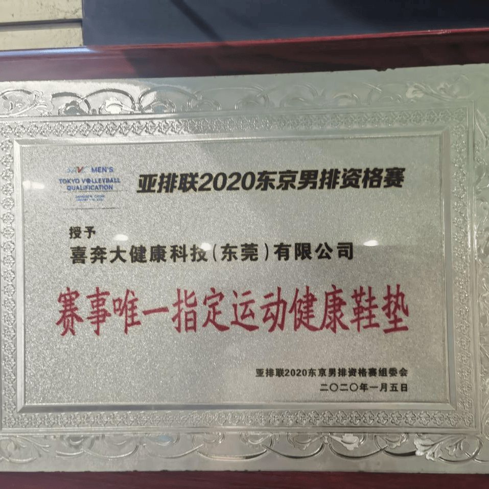 20奥运会男排资格赛唯一指定鞋垫.png