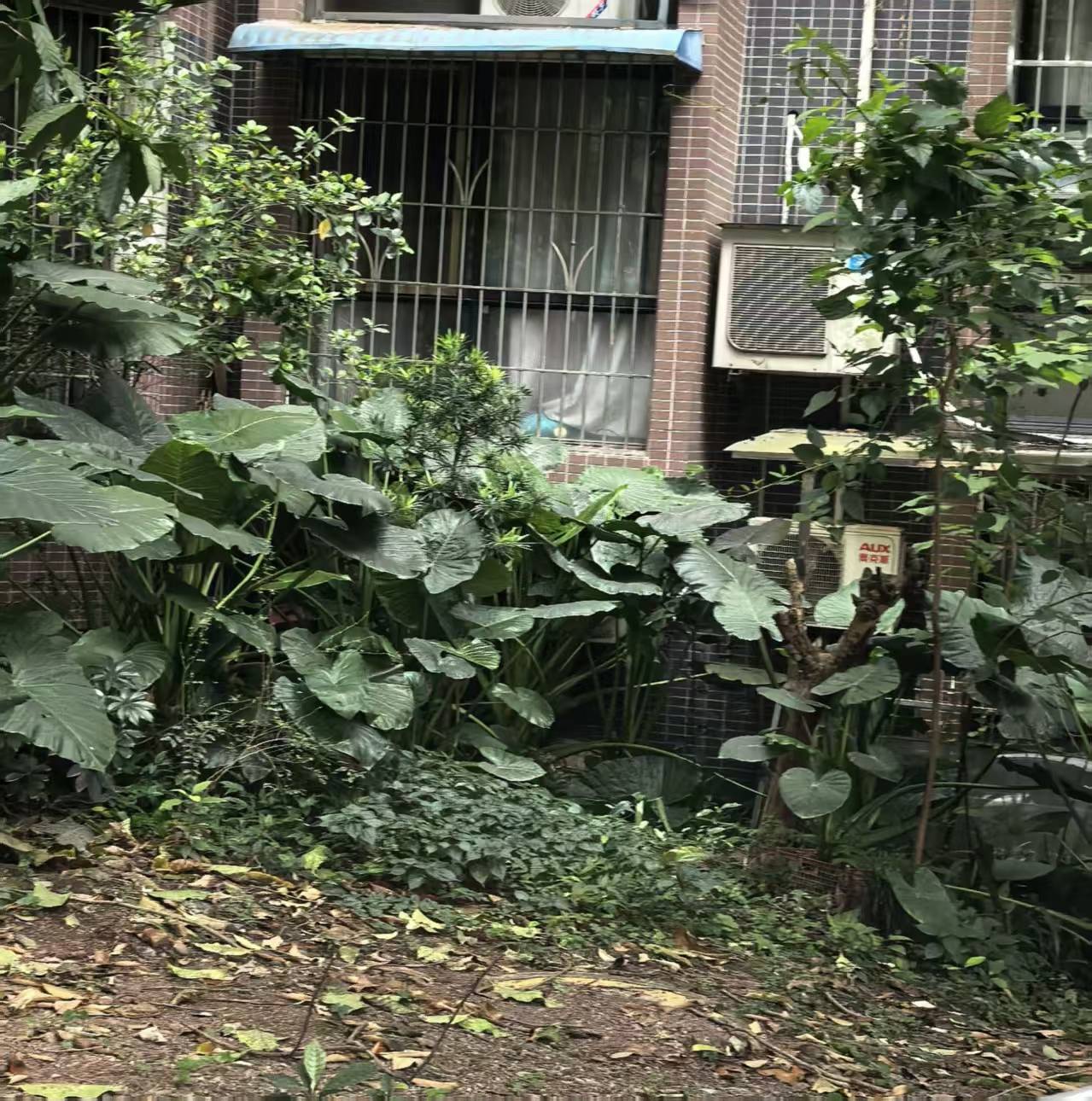 微信图片_20260508213000_9_550.jpg