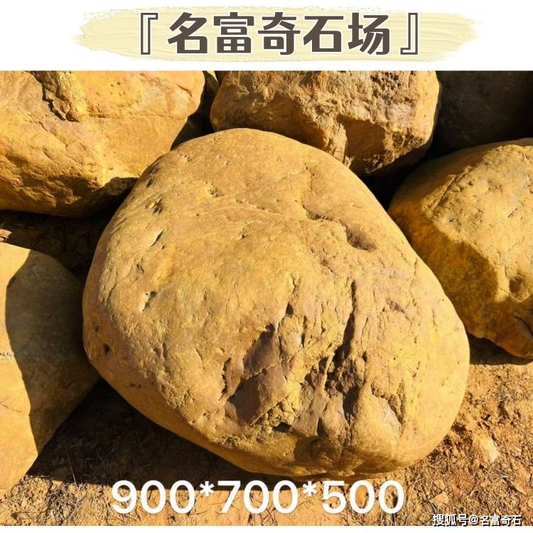 53.jpg