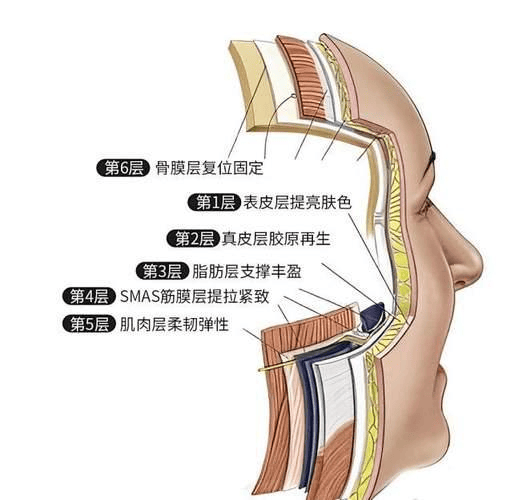 中面部抗衰：苹果肌复位凹凸不平成因解析 闫海廷解读