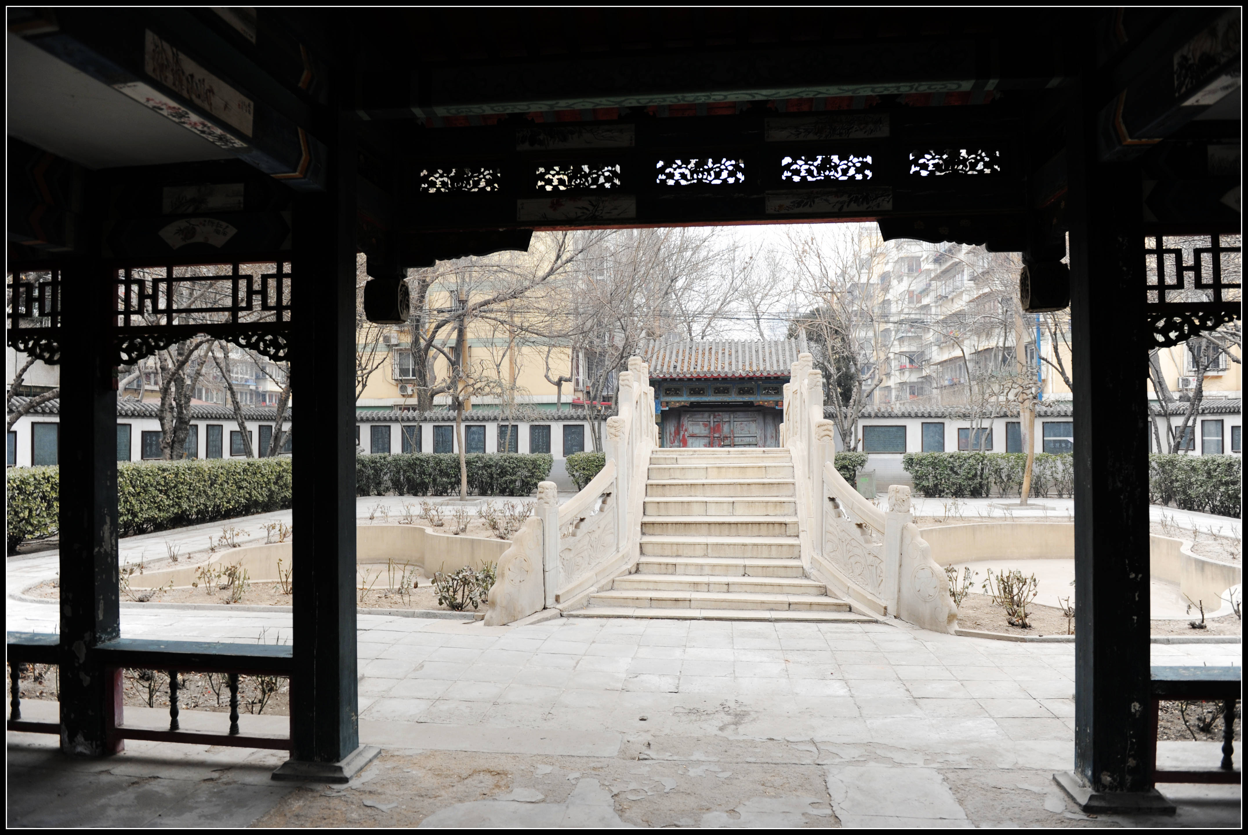 1SL0_5028 (4).JPG