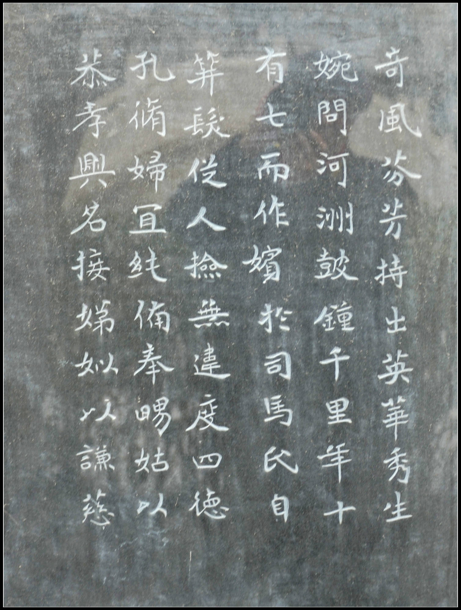 SL0_5046.JPG