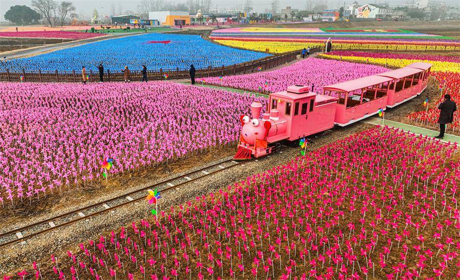 明光市女山湖风车节:色彩斑斓的风力盛宴_花海_游客_景观