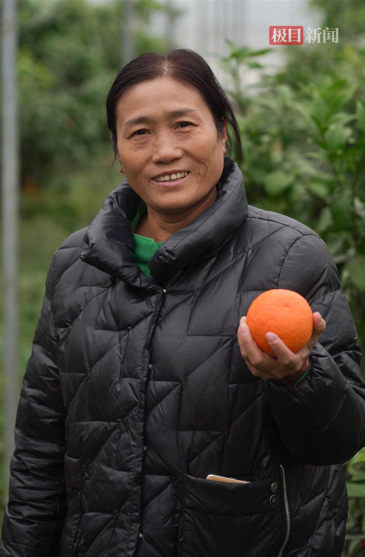 天下陂商㉙丨发展生态特色水果种植,"60后"女农场