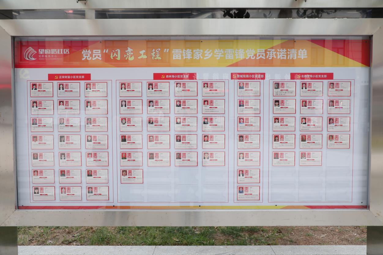 长沙市望城区:党员精准定承诺 基层共治汇合力_服务_小区_路社区