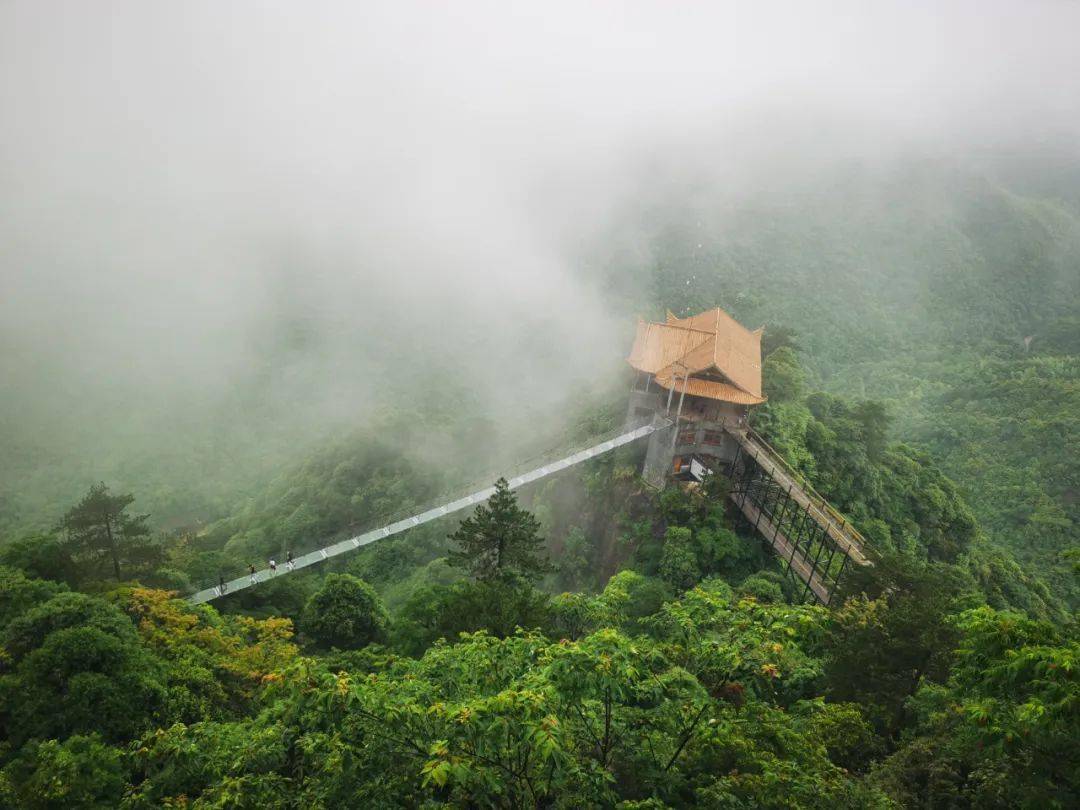 江西大觉山一日游图片