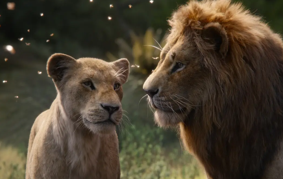 类型:动画 / 剧情上映:12月20日狮子王真狮版,讲述的是辛巴爸爸木法沙