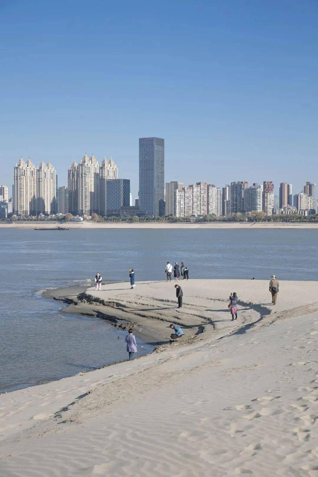 不是沙漠去不起,而是天兴洲更有性价比!_陈威霖_江滩_长江