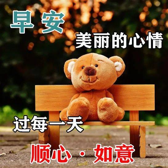 2,清晨,我轻轻推开那扇窗,任阳光流泻身上,心中暖洋洋,洋溢着对你的