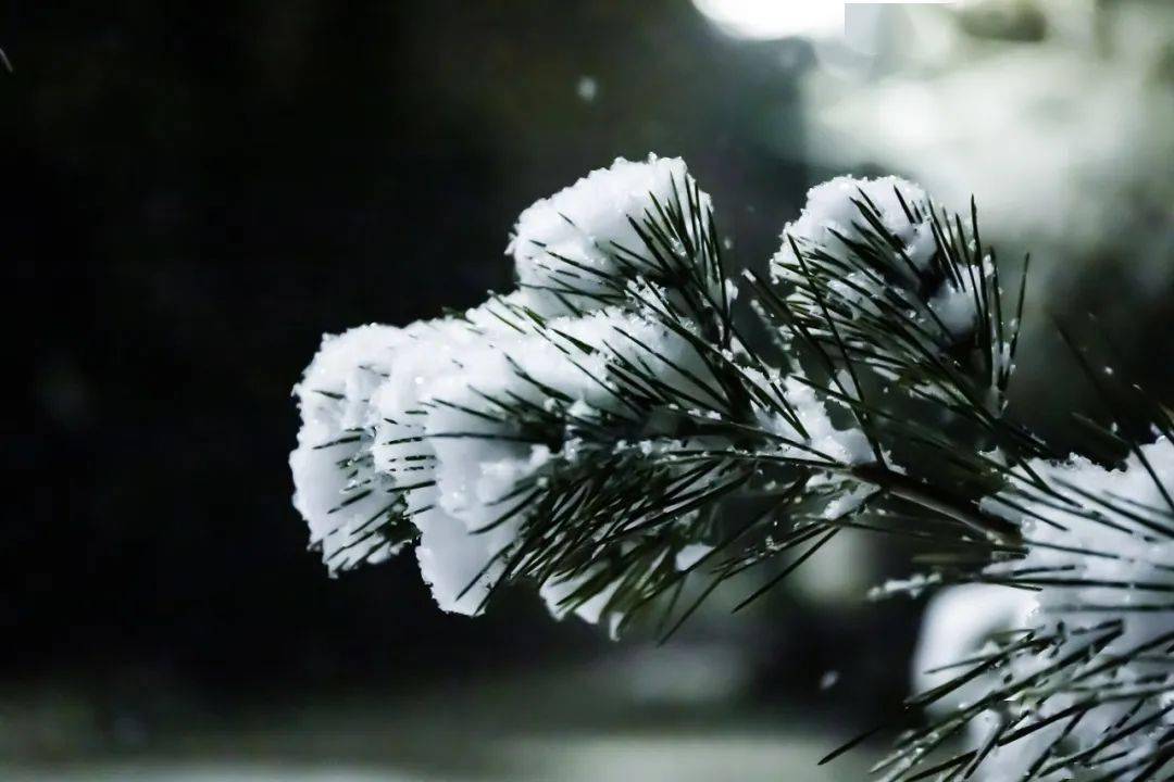 溫茶看雪落,歲歲不知寒_冬日_唐·白居易_火爐