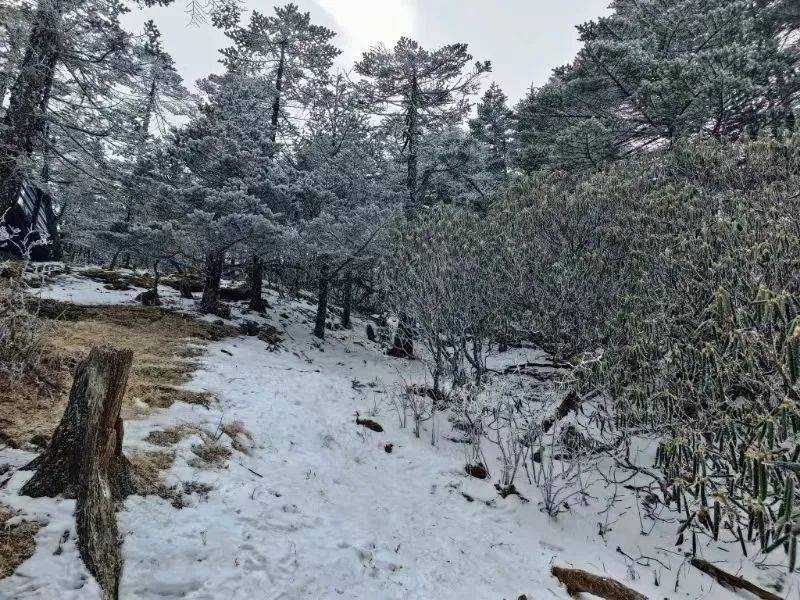 文思遠|登轎子山攬雪山勝景_風景區_海拔_棧道