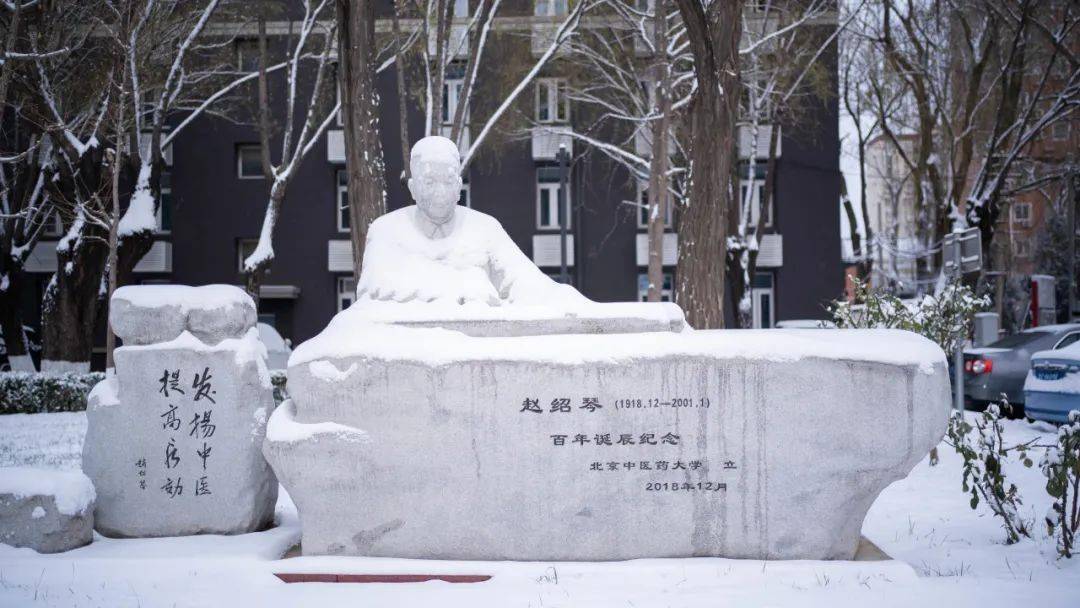 小寒|小寒迎雪至,正當嚴冬時_承之_大雁_中國