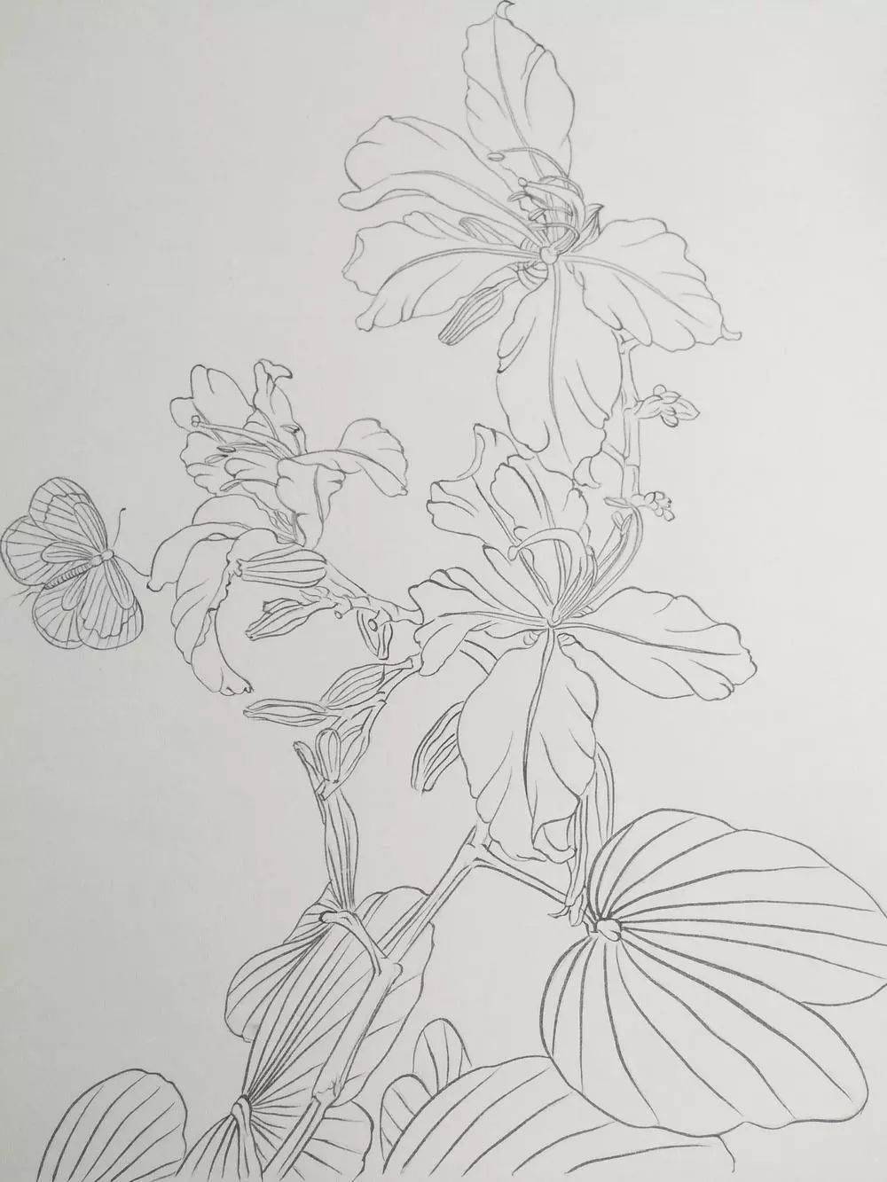 【国画教程】工笔《紫荆花》_花朵_叶子_线条
