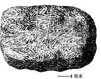 哈尔滨老岩图片