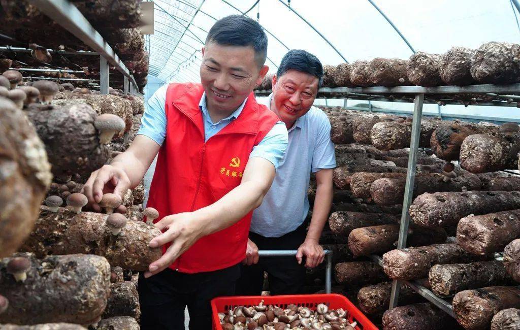 支付宝手机收验证码支付_手摔过会得关节炎吗_过手支付
