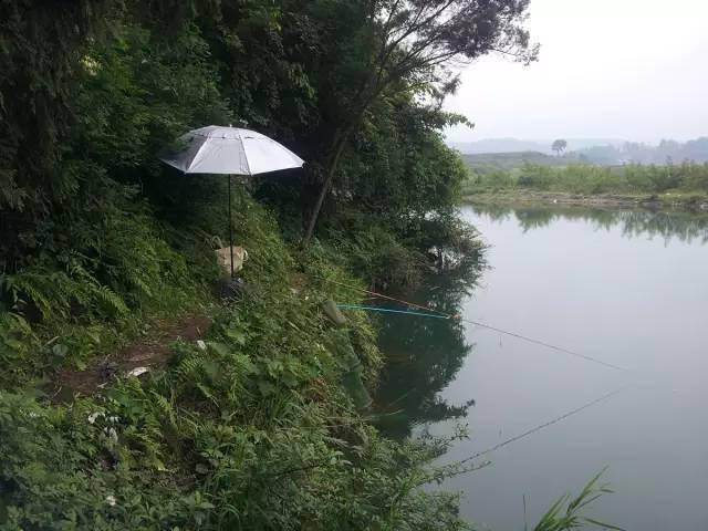 全程图文记录最原生态的一次钓行,用水蜈蚣做钓饵_钓鱼人_白条_钓友