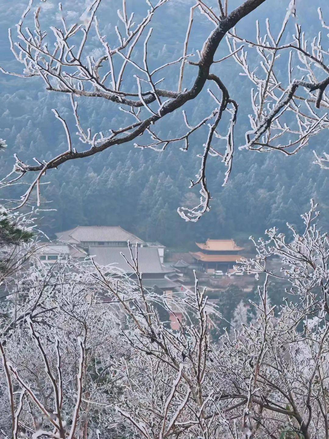 詩路天台┃《題龍宮寺淨院四上人》(800年) 唐61