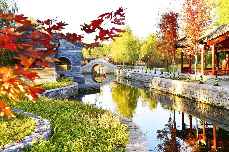 雖是寒冬,上個週末,位於北京城市副中心的張家灣公園仍吸引了不少