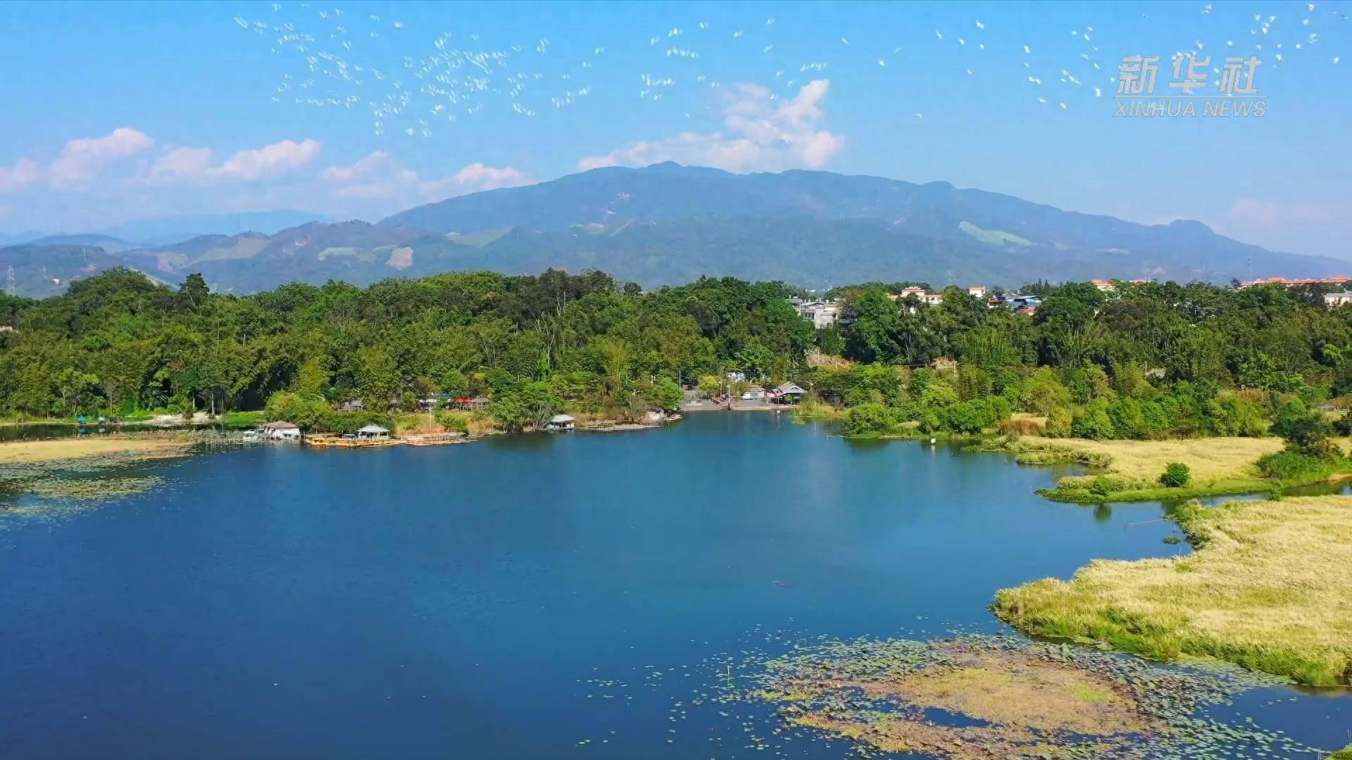 云南盈江:香额湖畔好风光_尹以沛_旧城镇_报道员