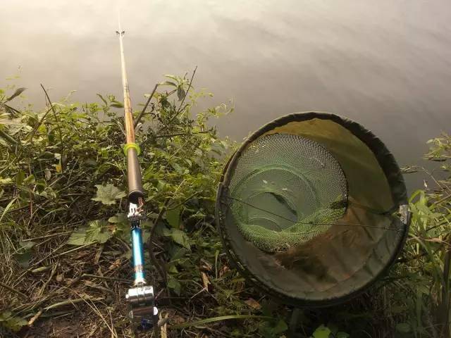 全程图文记录最原生态的一次钓行,用水蜈蚣做钓饵_钓鱼人_白条_钓友