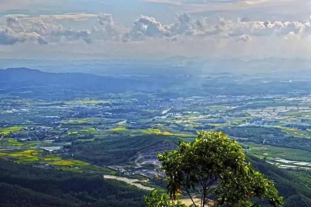 台山有上川岛省级猕猴保护区,北峰山国家森林公园,大隆洞千岛湖湿地
