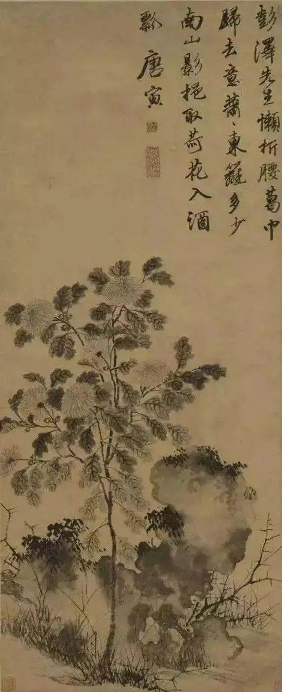 唐寅《臨水芙蓉圖》唐寅《灌木叢筱圖》蘇州市博物館藏唐寅《墨竹圖卷