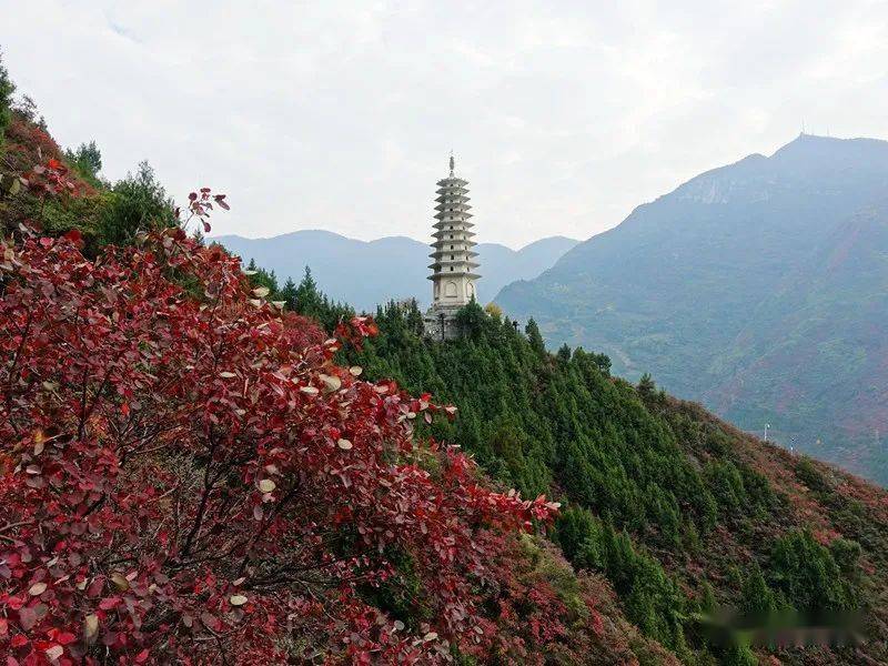 三峽徒步d2:巫山縣文峰觀 奔赴紅葉盛宴_臺階_山坡_紅色