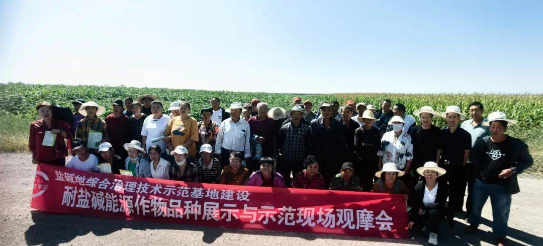 山西農大經作所蓖麻改良高寒區鹽鹼地為主糧生產打基礎_項目_土壤