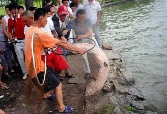 釣魚人到底是怎麼花錢的_東西_時候_釣具