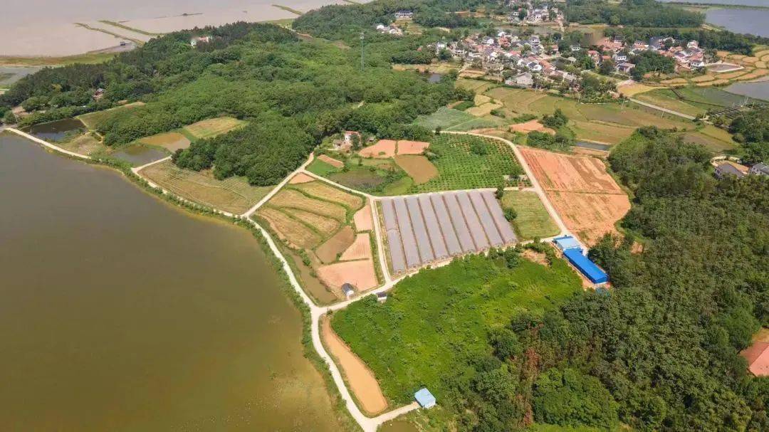 涂家垴镇万秀村:水墨画里触摸乡愁