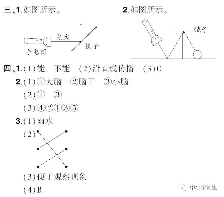 【期末試卷】教科版五年級科學(上)冊期末測試卷2套