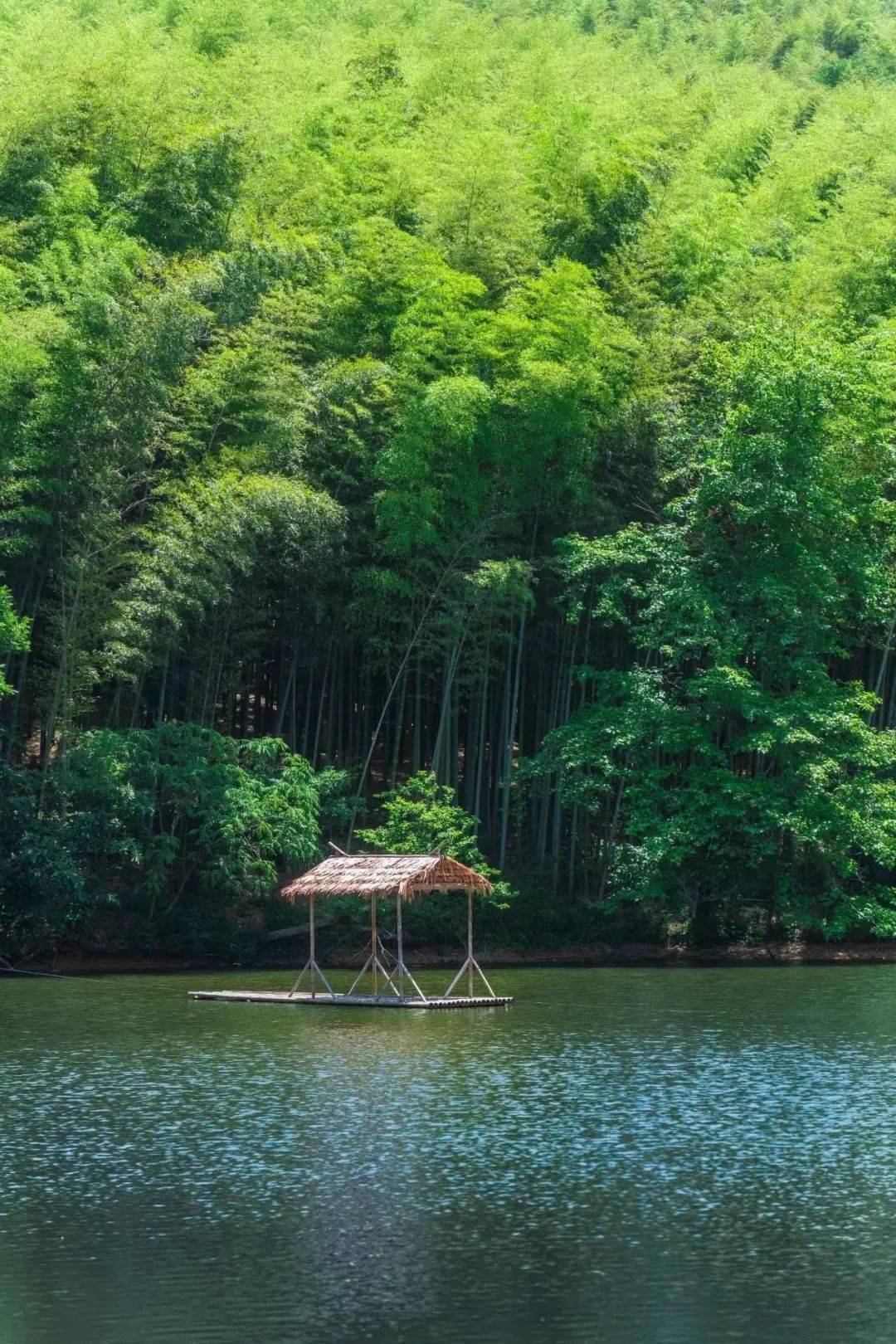 入目皆翠色,过耳俱尘烟「石塘竹海」听过啦97总能带给你一天的好