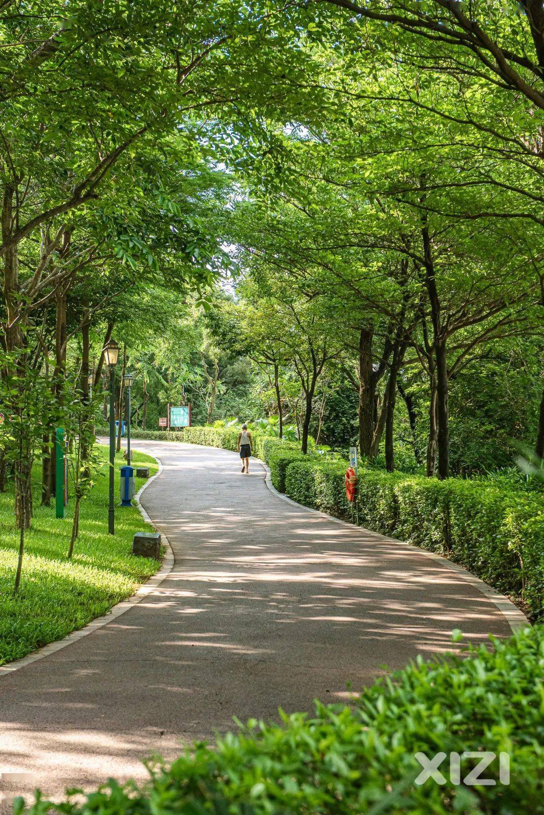 惠州這些公園