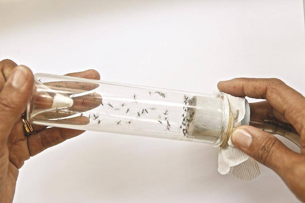 人工智能怎么管？新冠今后怎么治？2024《自然》《科学》关注这些科学事件