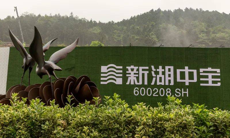 52亿！上市房企老板甩卖公司股权！国资“变身”第一大股东！_黄伟_衢州_新湖中宝