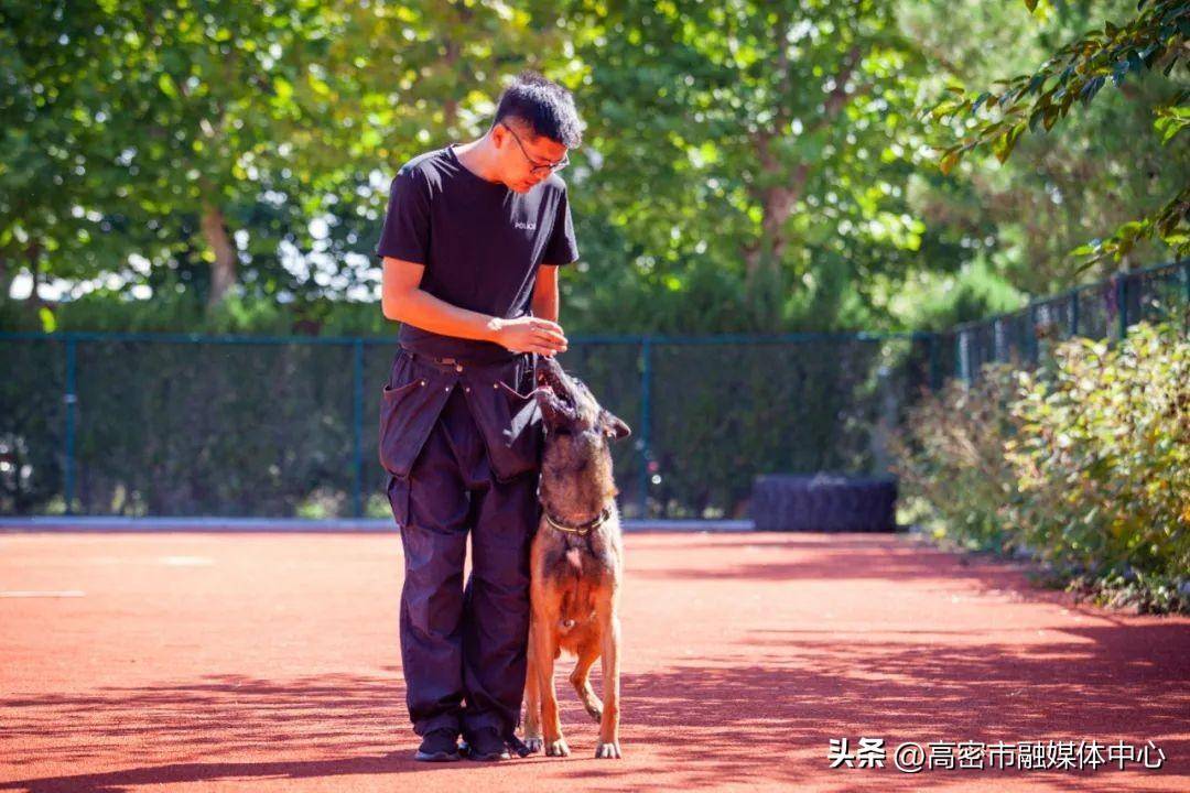 十佳鳶都警犬評選,