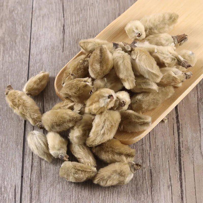 识百草 | 木兰_治疗_粉刺_皮肤