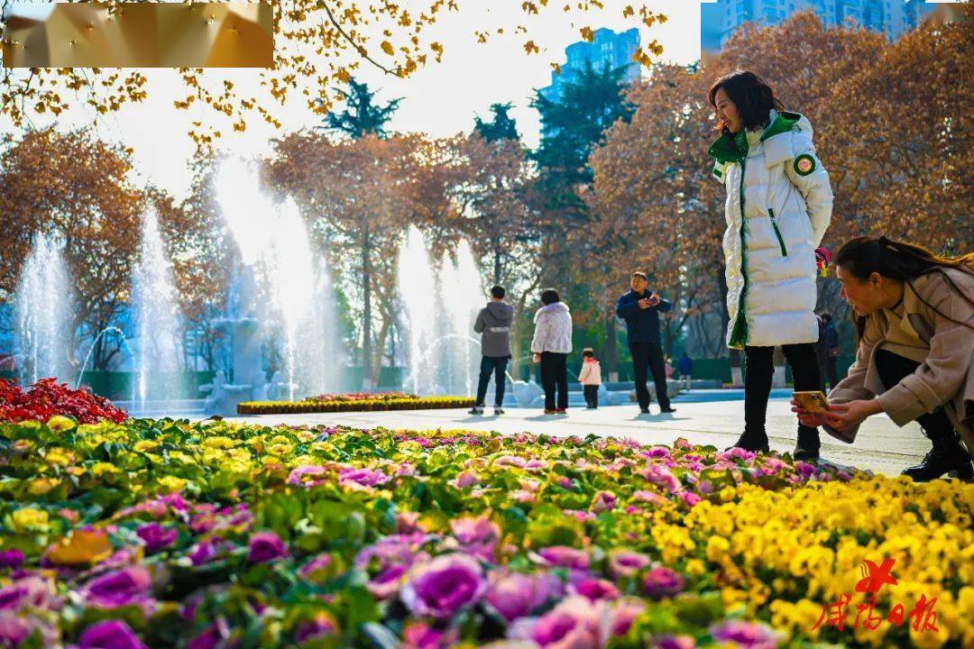 咸阳渭滨公园和凤凰广场,靓了~_改造_环境_市民