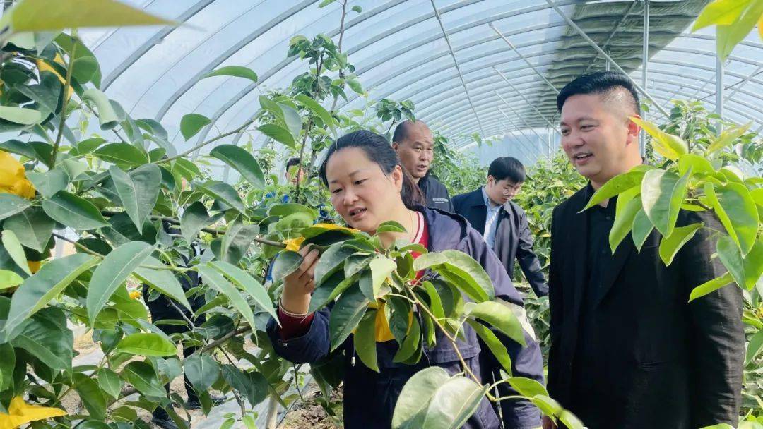 这一年 | 砀山县唐寨镇:砥砺奋进新征程 务实担当谱新篇