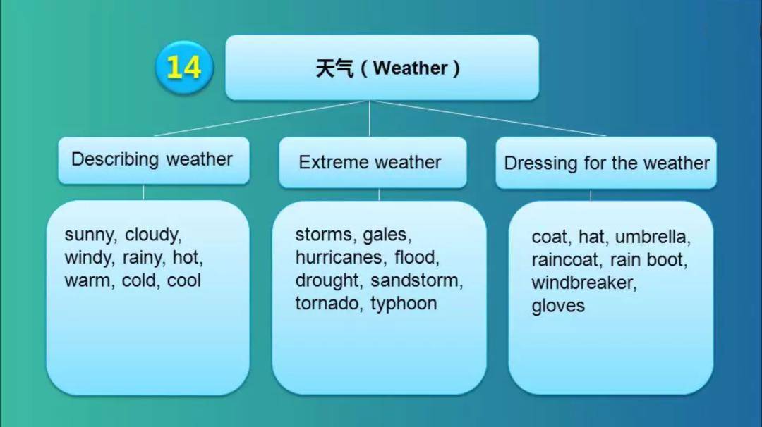 新课标中24个话题的英语词汇思维导图_记忆_教学_整理