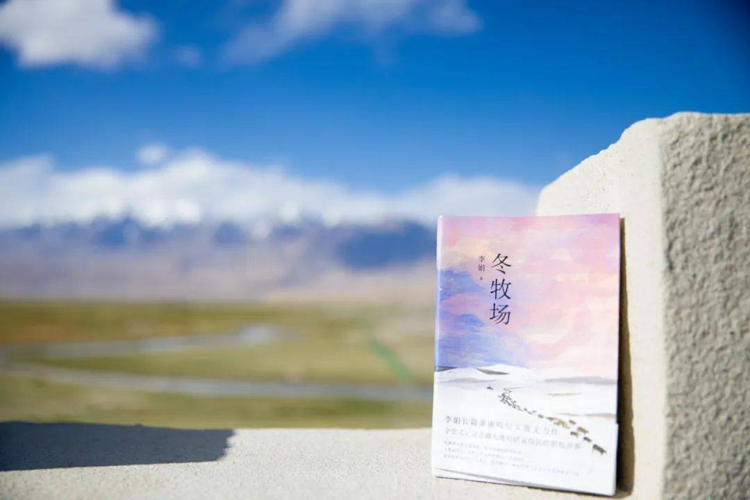 阅读《冬牧场》,重获感受幸福的能力_李娟_时候_荒野
