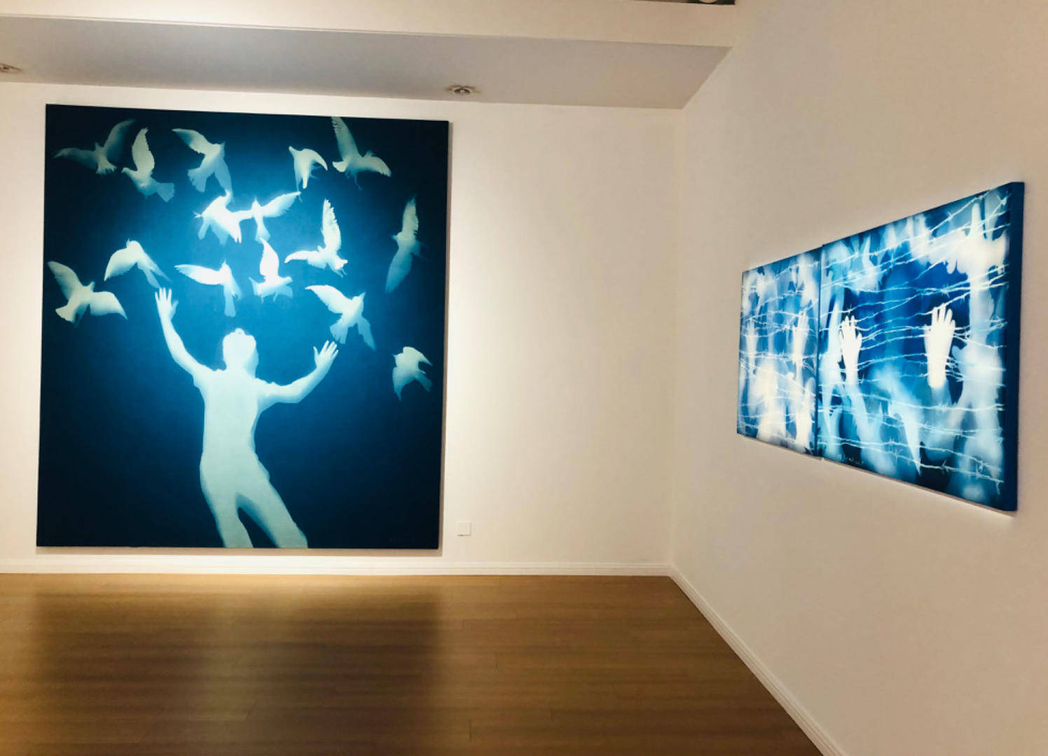 在蓝晒中显影,在蜡滴中定型……张大力个展"逆行者"开幕_作品_展览