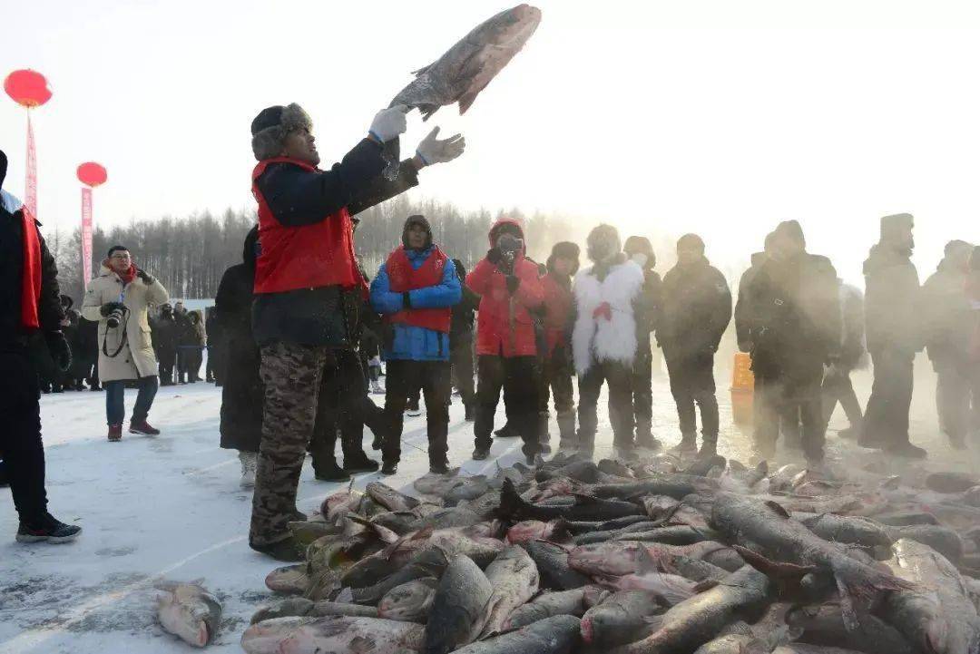 龐大的捕魚隊伍走上冰面鑿冰捕魚,一時間湖面沸騰起來,捕魚號子此起