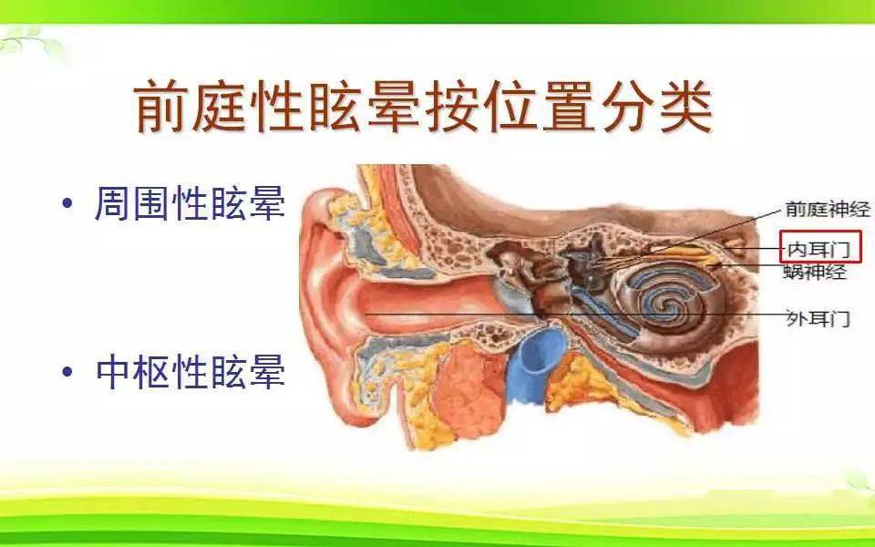 如何区分耳石症与颈性眩晕?眩晕诊断思路,一文总结!