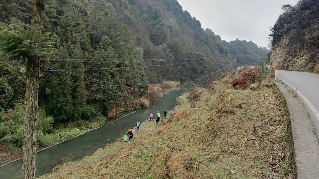 大方县八堡乡:开展清河护河行动_群众_环境_美乡村