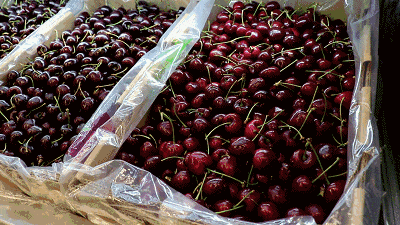 168元享智利单j车厘子5斤礼盒装;_搜狐汽车_搜狐网