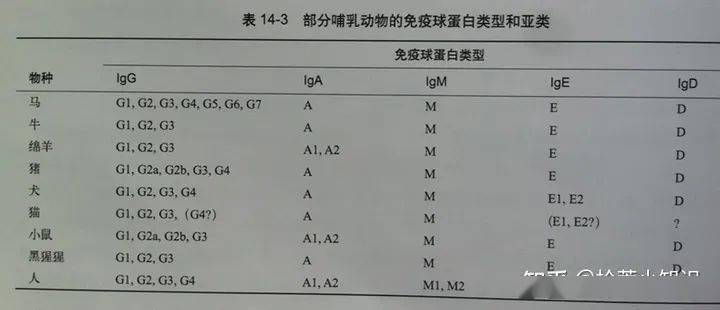 講述免疫球蛋白與抗體的故事_抗原_分子_氨基酸