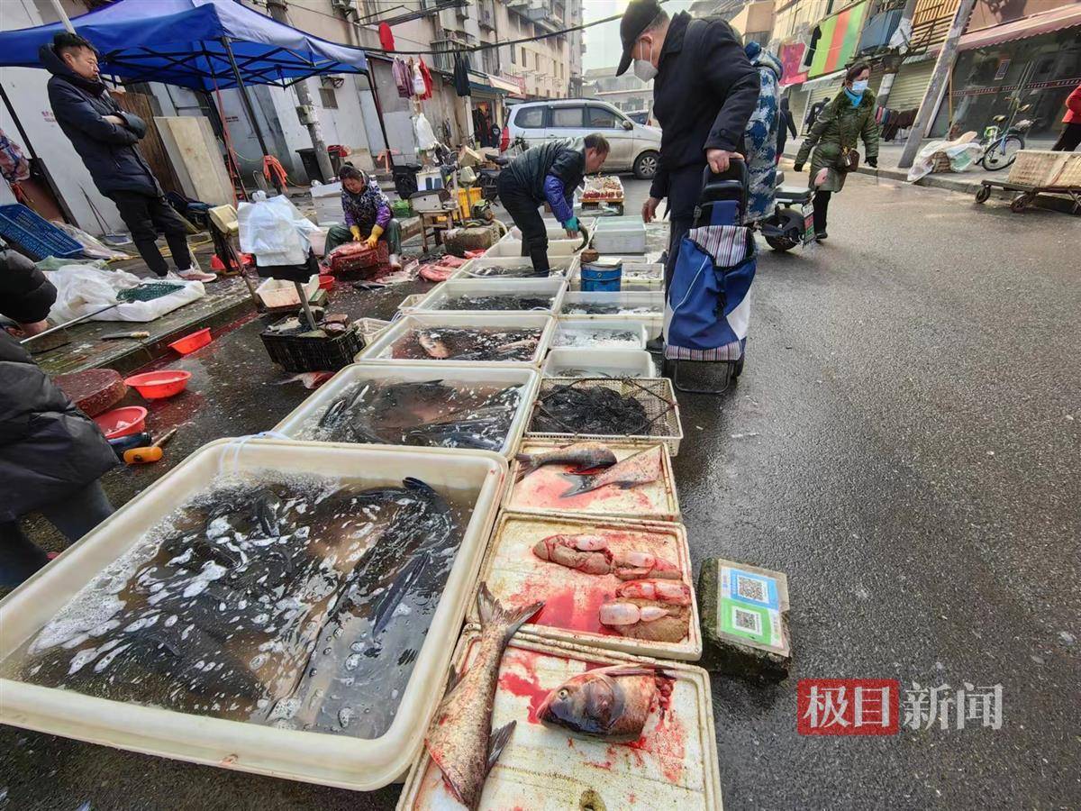 淡水鱼节前大量出水,最实惠的腌鱼档期到了_腊鱼_价格_市场